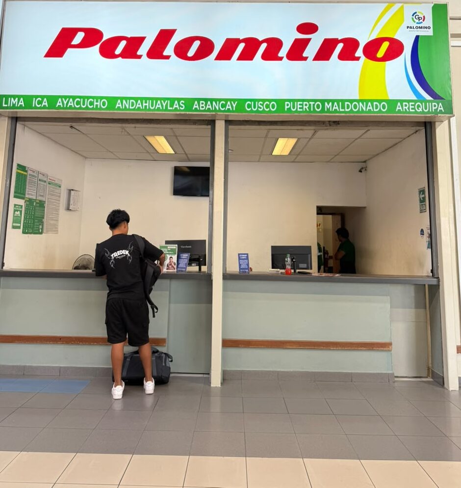 Palomino